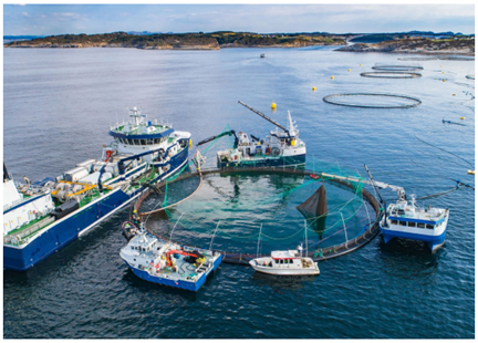 1688548751593985.png image.png