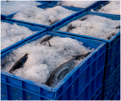 1688548800760973.png image.png