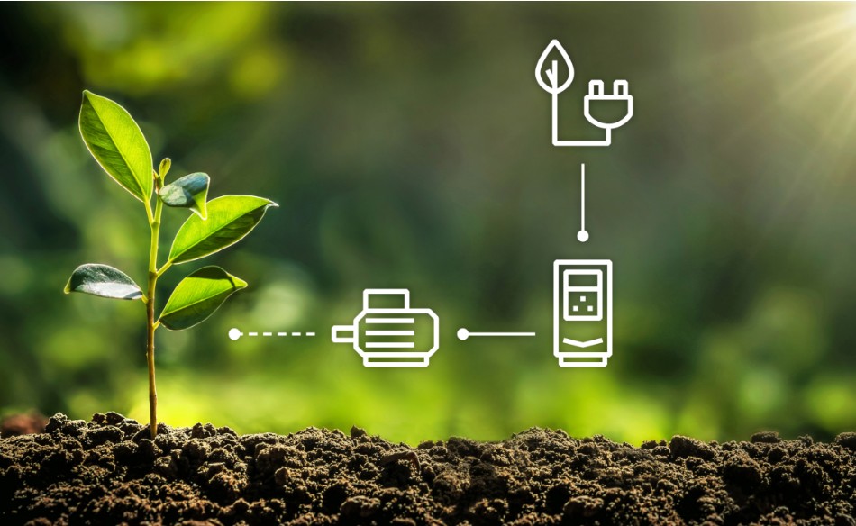 1724378182877817.jpg 3.jpg